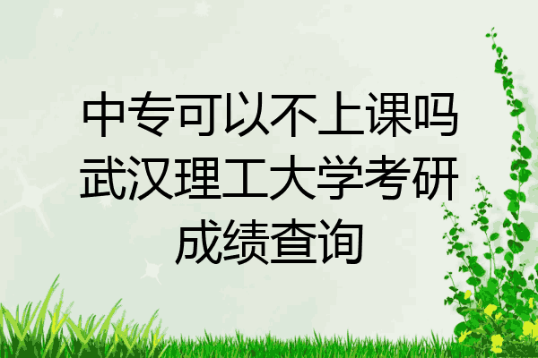 中专可以不上课吗武汉理工大学考研成绩查询