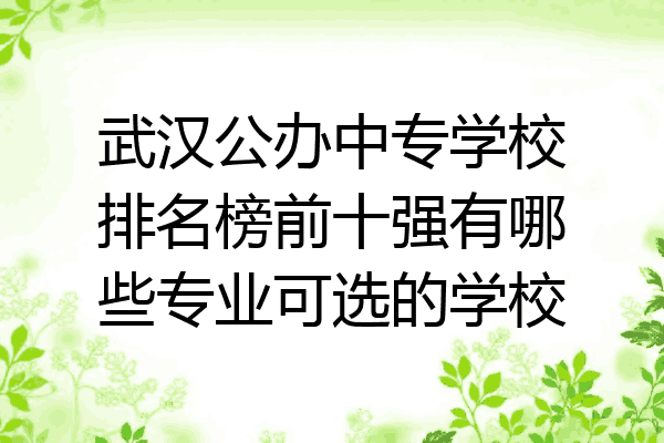 武汉公办中专学校排名榜前十强有哪些专业可选的学校