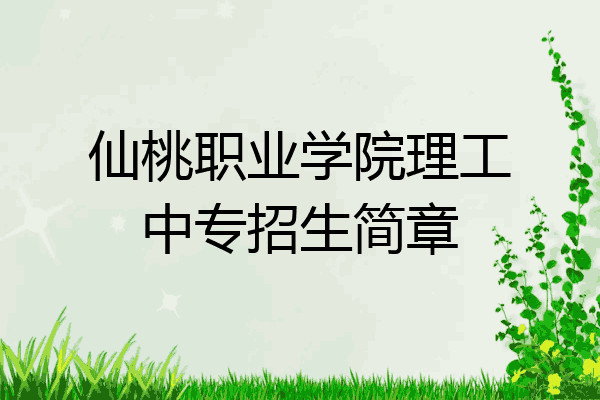仙桃职业学院理工中专招生简章