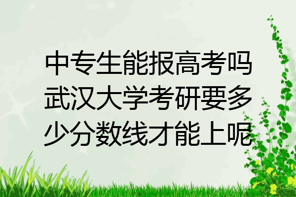 中专生能报高考吗武汉大学考研要多少分数线才能上呢