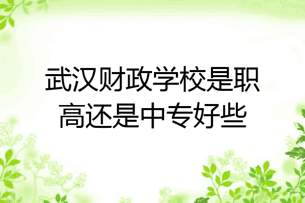 武汉财政学校是职高还是中专好些