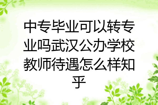 中专毕业可以转专业吗武汉公办学校教师待遇怎么样知乎