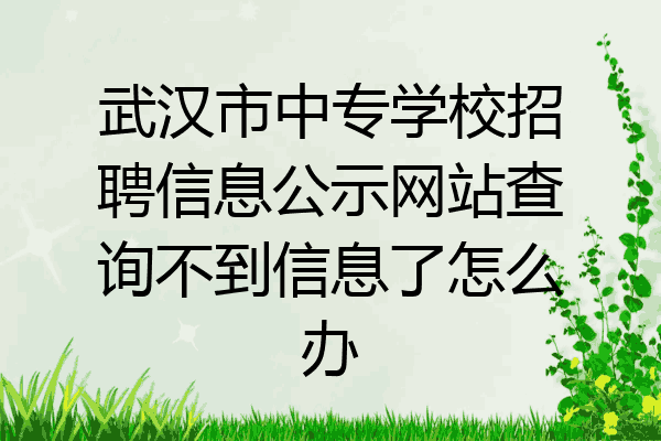 武汉市中专学校招聘信息公示网站查询不到信息了怎么办