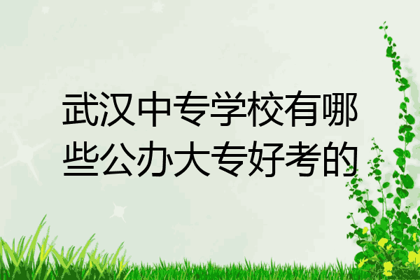 武汉中专学校有哪些公办大专好考的