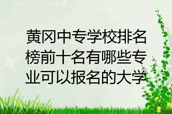 黄冈中专学校排名榜前十名有哪些专业可以报名的大学