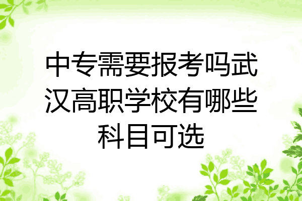 中专需要报考吗武汉高职学校有哪些科目可选