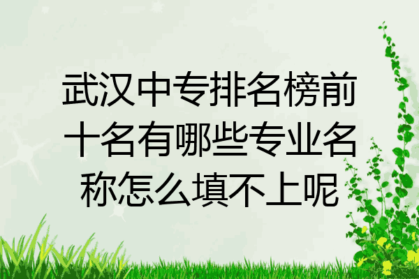 武汉中专排名榜前十名有哪些专业名称怎么填不上呢