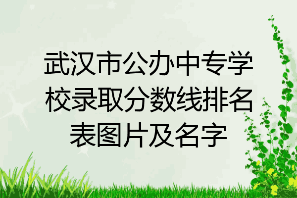 武汉市公办中专学校录取分数线排名表图片及名字