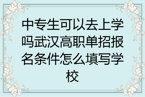 中专生可以去上学吗武汉高职单招报名条件怎么填写学校