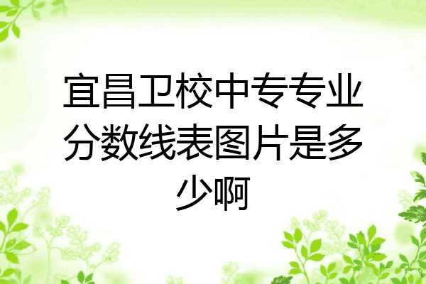 宜昌卫校中专专业分数线表图片是多少啊