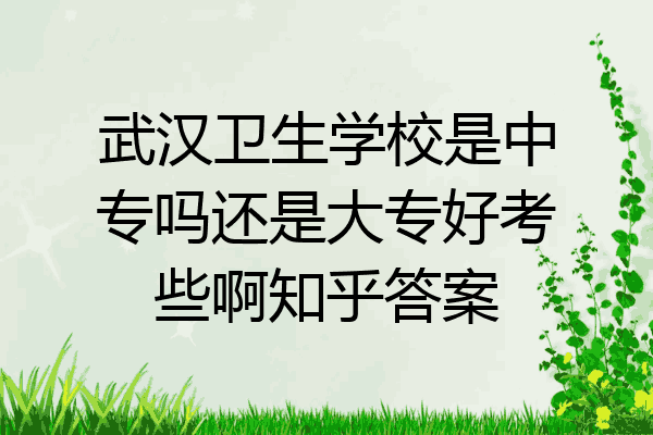 武汉卫生学校是中专吗还是大专好考些啊知乎答案