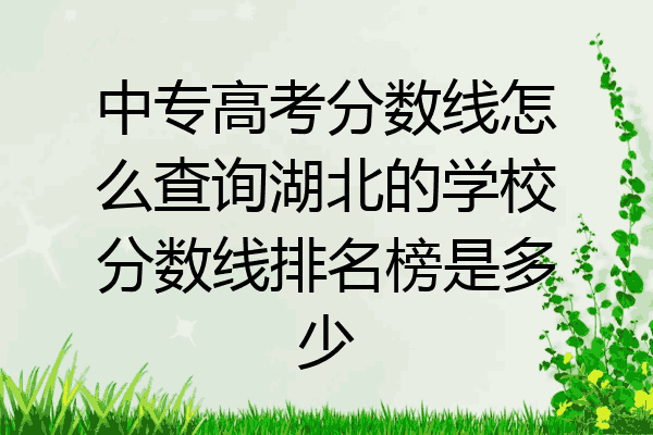 中专高考分数线怎么查询湖北的学校分数线排名榜是多少