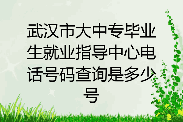 武汉市大中专毕业生就业指导中心电话号码查询是多少号