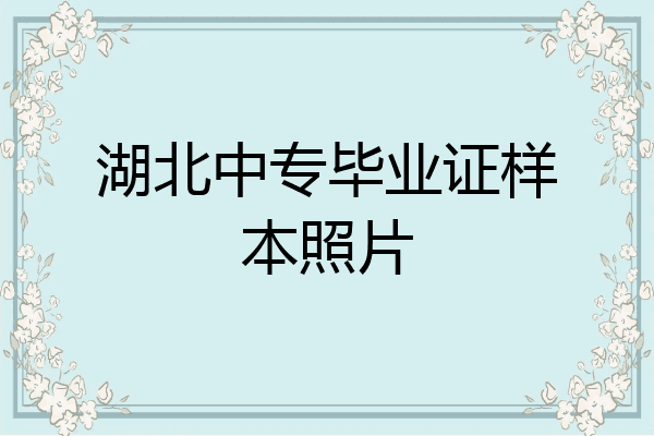湖北中专毕业证样本照片