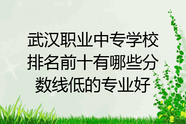 武汉职业中专学校排名前十有哪些分数线低的专业好