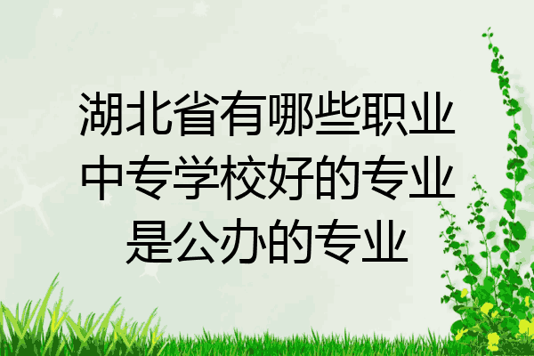 湖北省有哪些职业中专学校好的专业是公办的专业