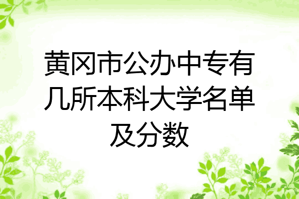黄冈市公办中专有几所本科大学名单及分数