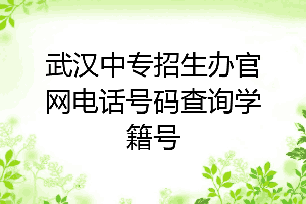 武汉中专招生办官网电话号码查询学籍号
