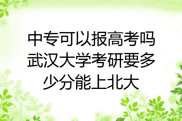 中专可以报高考吗武汉大学考研要多少分能上北大