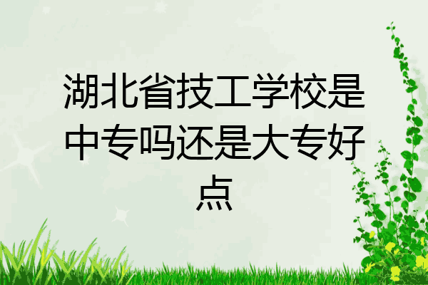 湖北省技工学校是中专吗还是大专好点
