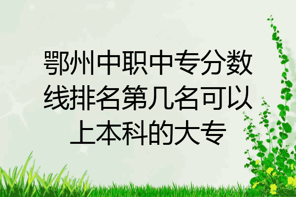 鄂州中职中专分数线排名第几名可以上本科的大专