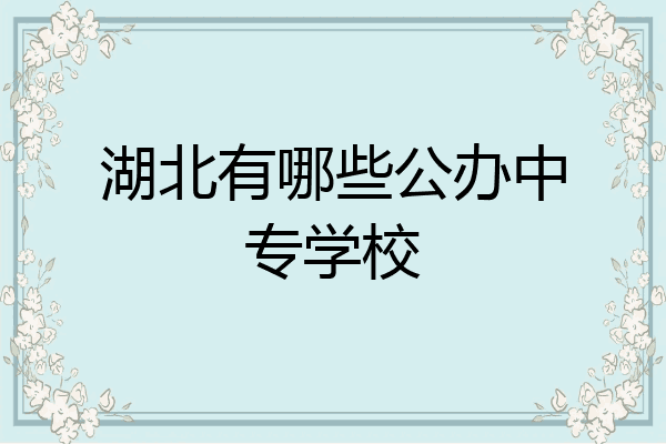湖北有哪些公办中专学校