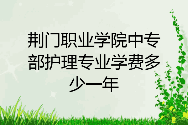 荆门职业学院中专部护理专业学费多少一年