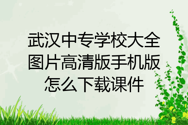 武汉中专学校大全图片高清版手机版怎么下载课件
