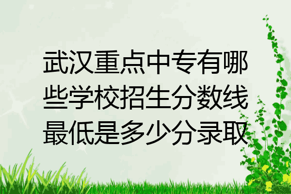 武汉重点中专有哪些学校招生分数线最低是多少分录取