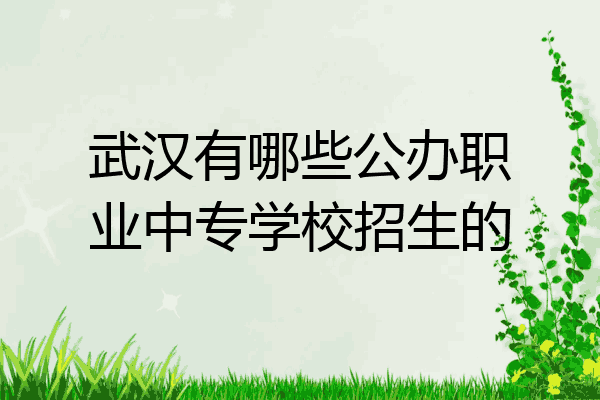 武汉有哪些公办职业中专学校招生的