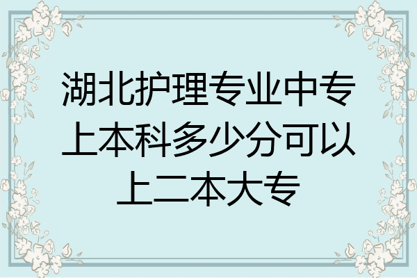 湖北护理专业中专上本科多少分可以上二本大专