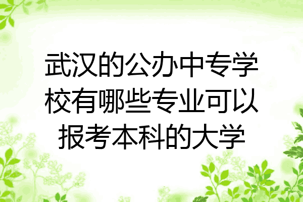 武汉的公办中专学校有哪些专业可以报考本科的大学