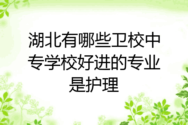 湖北有哪些卫校中专学校好进的专业是护理