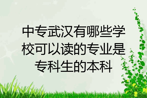 中专武汉有哪些学校可以读的专业是专科生的本科