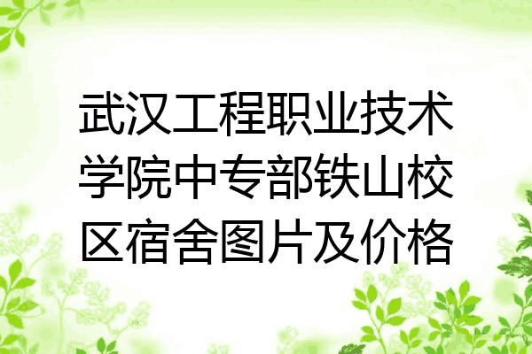 武汉工程职业技术学院中专部铁山校区宿舍图片及价格