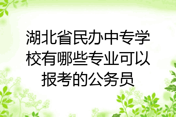 湖北省民办中专学校有哪些专业可以报考的公务员