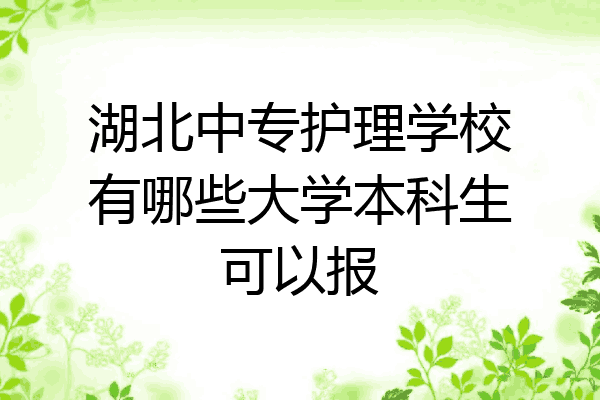 湖北中专护理学校有哪些大学本科生可以报