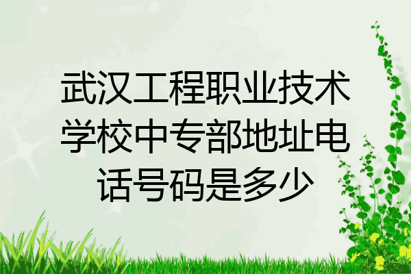 武汉工程职业技术学校中专部地址电话号码是多少