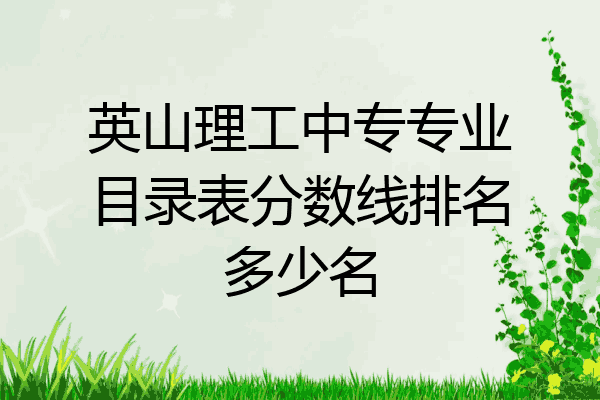 英山理工中专专业目录表分数线排名多少名