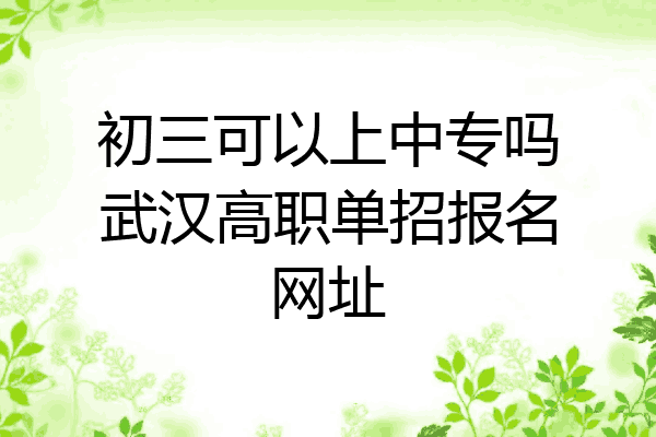 初三可以上中专吗武汉高职单招报名网址