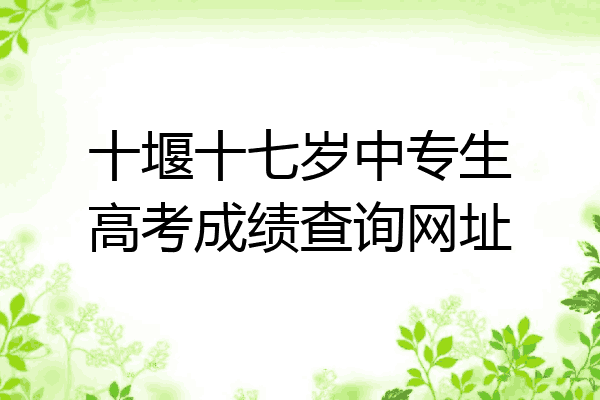 十堰十七岁中专生高考成绩查询网址