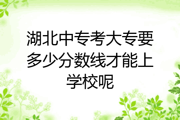 湖北中专考大专要多少分数线才能上学校呢