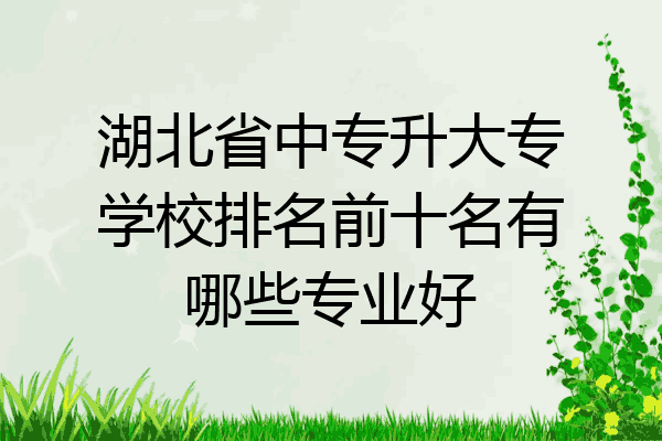 湖北省中专升大专学校排名前十名有哪些专业好