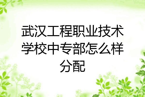 武汉工程职业技术学校中专部怎么样分配