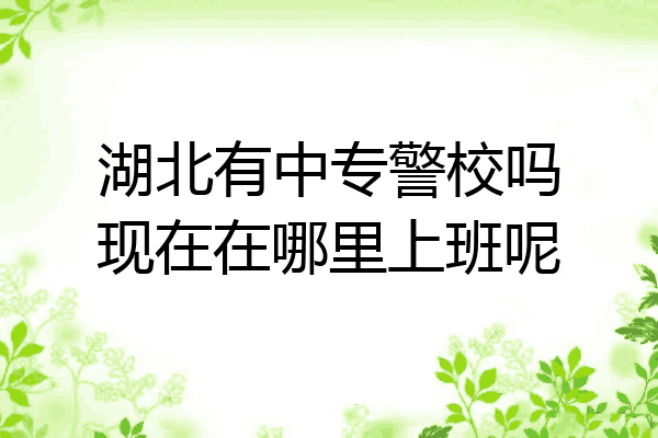 湖北有中专警校吗现在在哪里上班呢