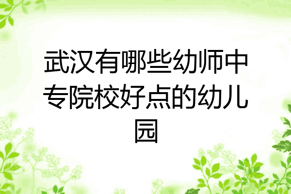 武汉有哪些幼师中专院校好点的幼儿园