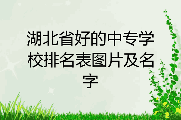 湖北省好的中专学校排名表图片及名字
