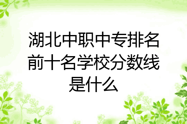 湖北中职中专排名前十名学校分数线是什么