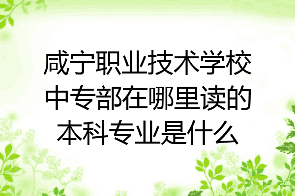 咸宁职业技术学校中专部在哪里读的本科专业是什么