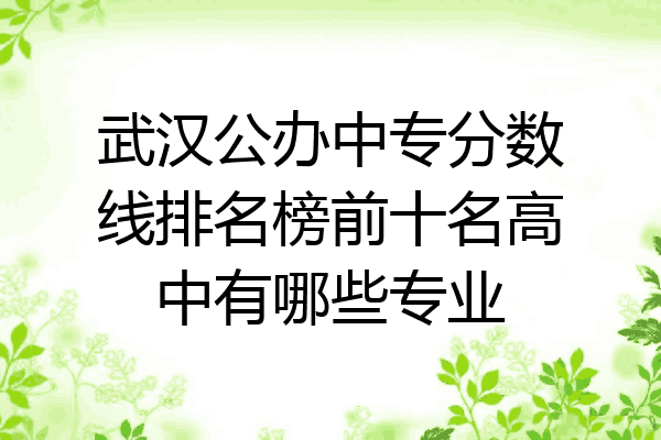 武汉公办中专分数线排名榜前十名高中有哪些专业
